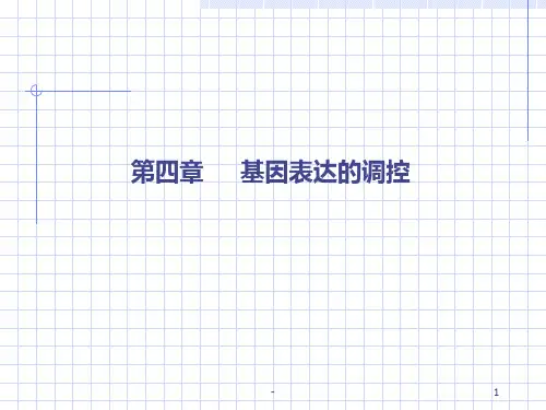 乳糖操纵子的调控机理PPT课件