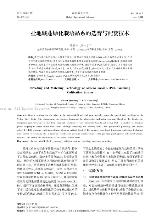 盐地碱蓬绿化栽培品系的选育与配套技术