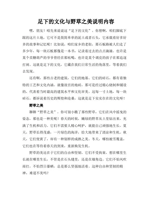 足下的文化与野草之美说明内容