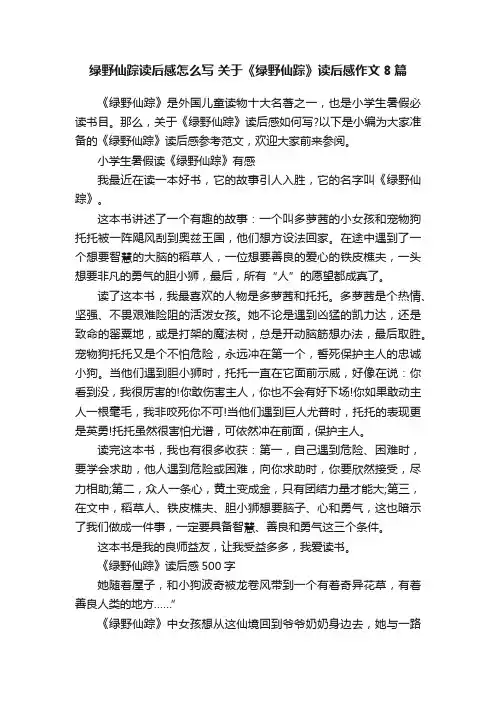 绿野仙踪读后感怎么写关于《绿野仙踪》读后感作文8篇
