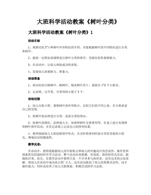 大班科学活动教案《树叶分类》
