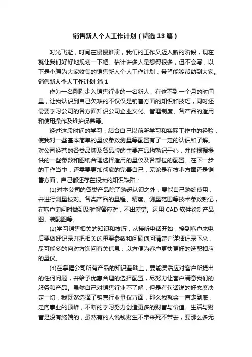 销售新人个人工作计划（精选13篇）
