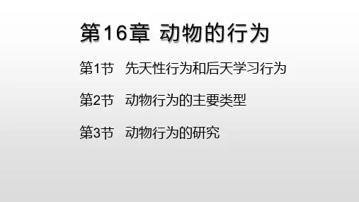 八年级生物第16章 动物的行为优秀课件