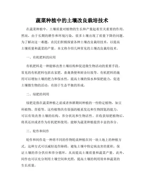 蔬菜种植中的土壤改良栽培技术