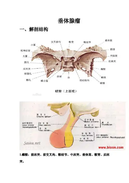垂体腺瘤