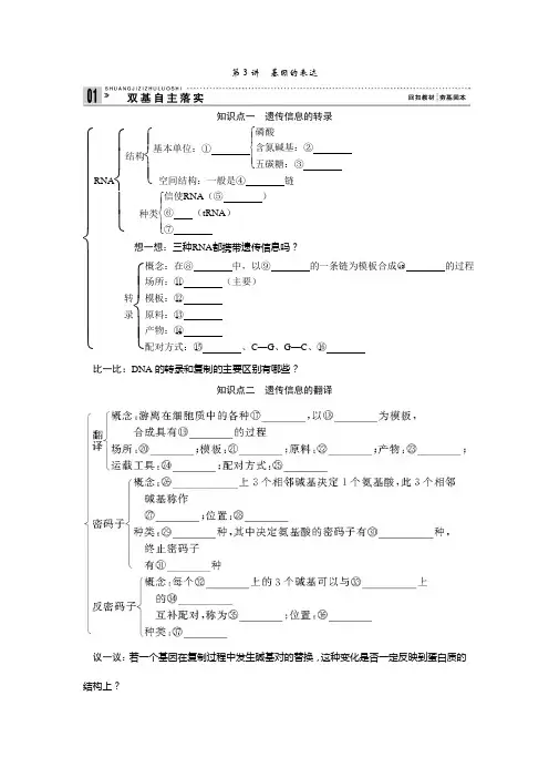 2013届高考生物一轮复习讲义：2.2.3基因的表达