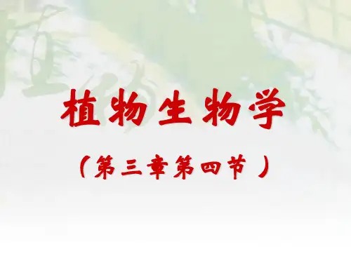 植物生物学(3.4花器官的发生和发育)