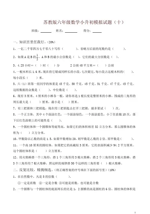 苏教版六年级数学小升初模拟试题(十)含答案-精