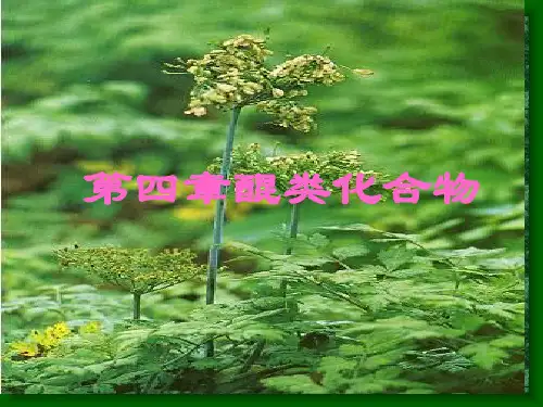 醌类化合物