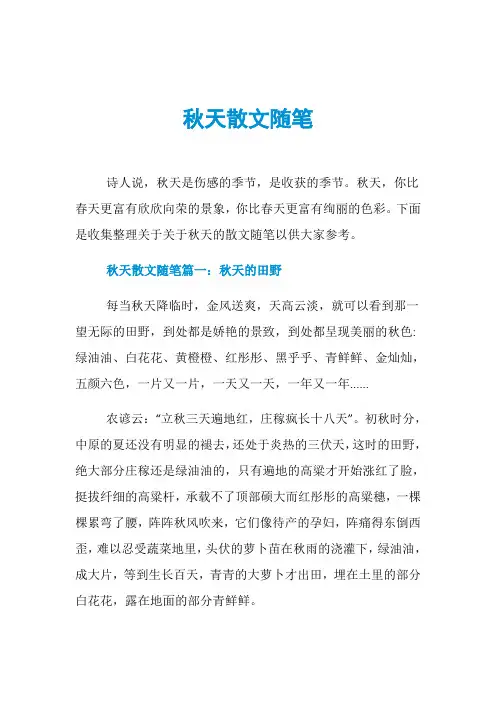 秋天散文随笔