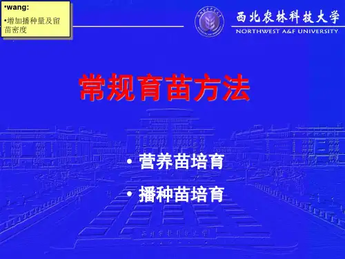 常规育苗方法