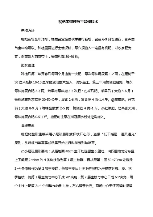 枇杷果树种植与管理技术
