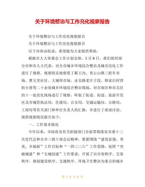 关于环境整治与工作亮化视察报告