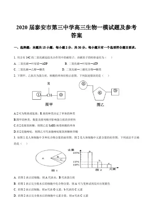 2020届泰安市第三中学高三生物一模试题及参考答案