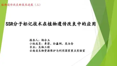 分子标记在植物遗传改良中的应用