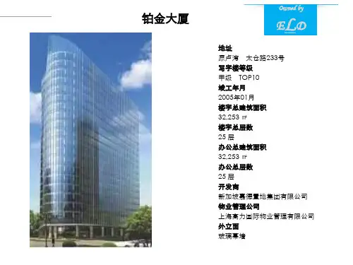 上海顶级写字楼 铂金大厦