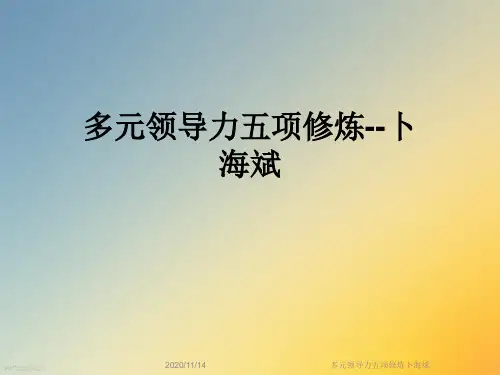 多元领导力五项修炼卜海斌