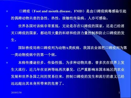 口蹄疫疾病-PPT文档资料