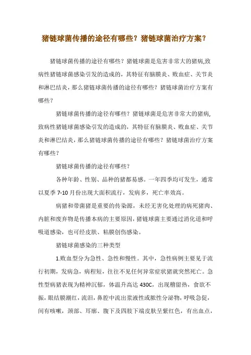 猪链球菌传播的途径有哪些？猪链球菌--治疗方案？