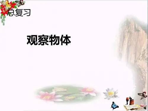 二年级数学上册第9单元总复习(9观察物体)PPT课件新人教版