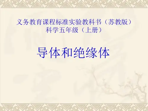 人教版小学五年级上册科学导体和绝缘体