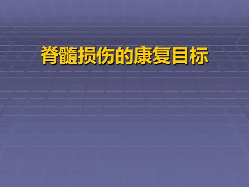 脊髓损伤的康复目标【25页】