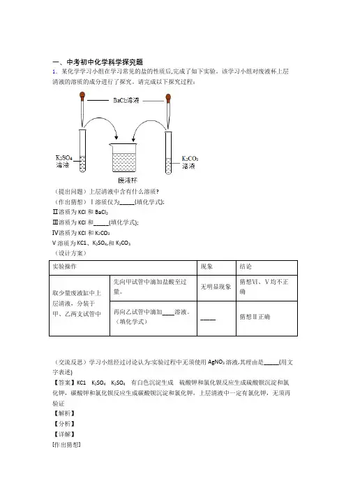 中考化学探究题(大题培优 易错 难题)附答案