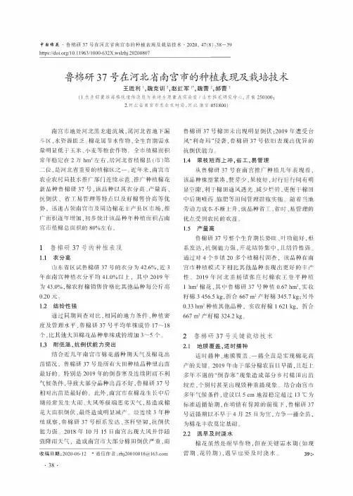 鲁棉研37号在河北省南宫市的种植表现及栽培技术