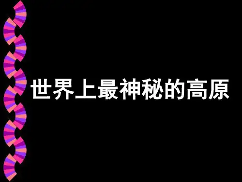 青藏地区