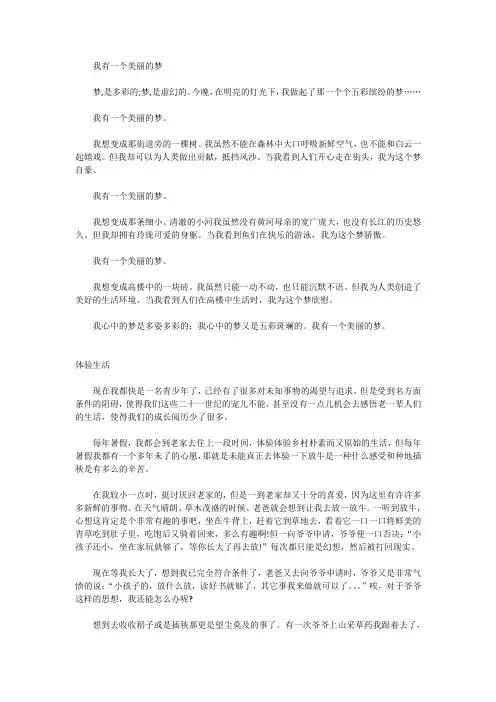 我有一个美丽的梦