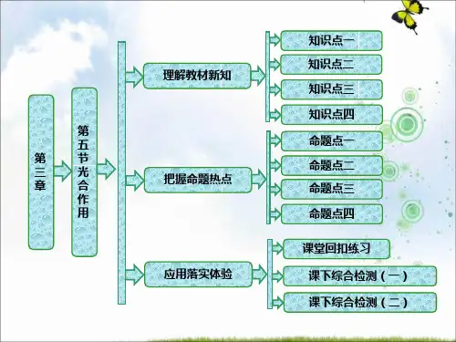 高中生物浙科版必修1课件：第三章 第五节 光合作用