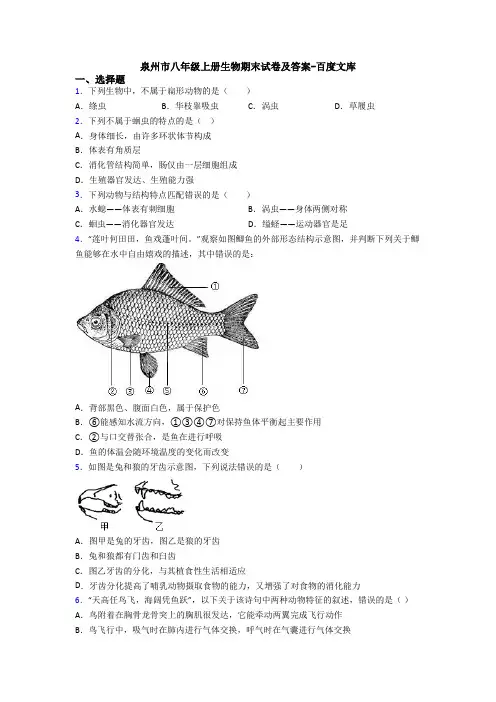 泉州市八年级上册生物期末试卷及答案-百度文库