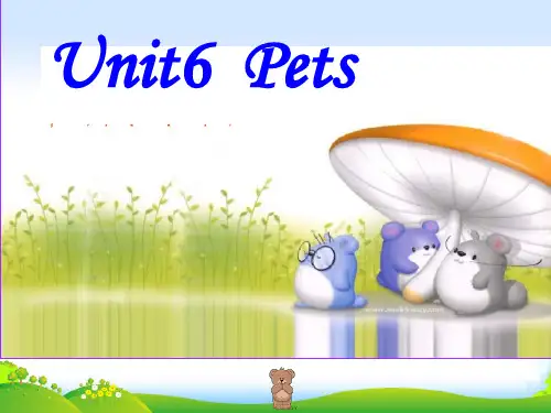 牛津深圳版八年级英语下册《Unit 6 Period 4 Grammar》课件(共33张PPT)