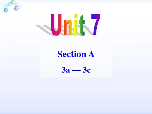 人教新目标九年级英语全册课件： Unit 7 Section A (3a4c)(共29张PPT)