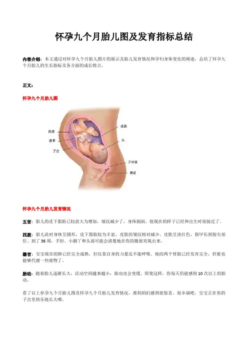 怀孕九个月胎儿图及发育指标总结