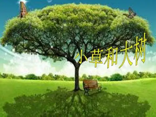 六年级上册科学课件-1.1 小草和大树｜冀教版  (共16张PPT) 
