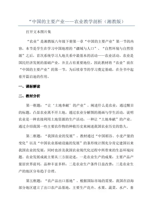 “中国的主要产业——农业教学剖析(湘教版)