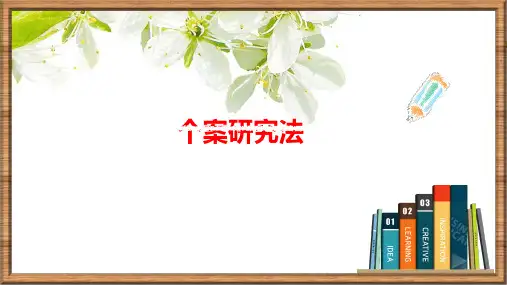 个案研究法