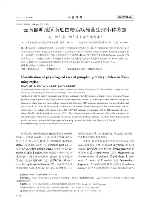 云南昆明地区南瓜白粉病病原菌生理小种鉴定