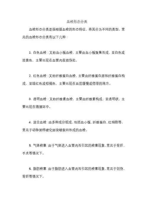 血栓形态分类