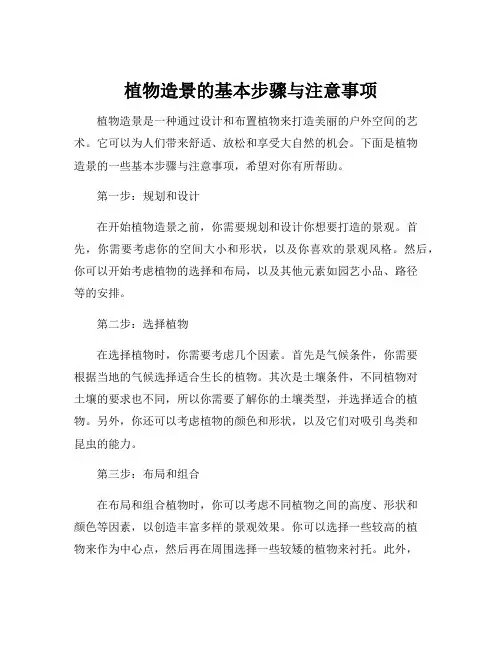 植物造景的基本步骤与注意事项