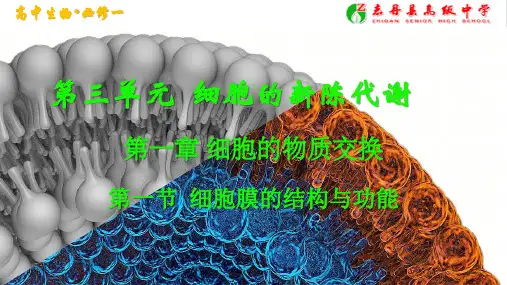 细胞膜的结构与功能