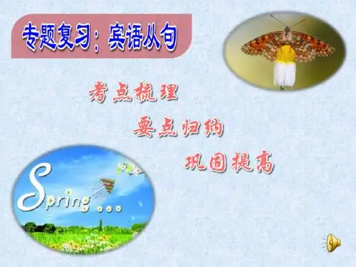 宾语从句专题复习(共25张PPT)