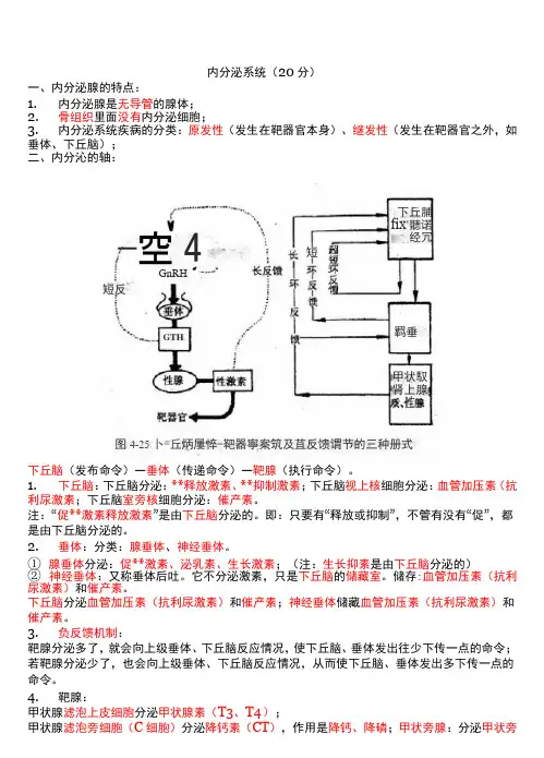 医学-内分泌系统