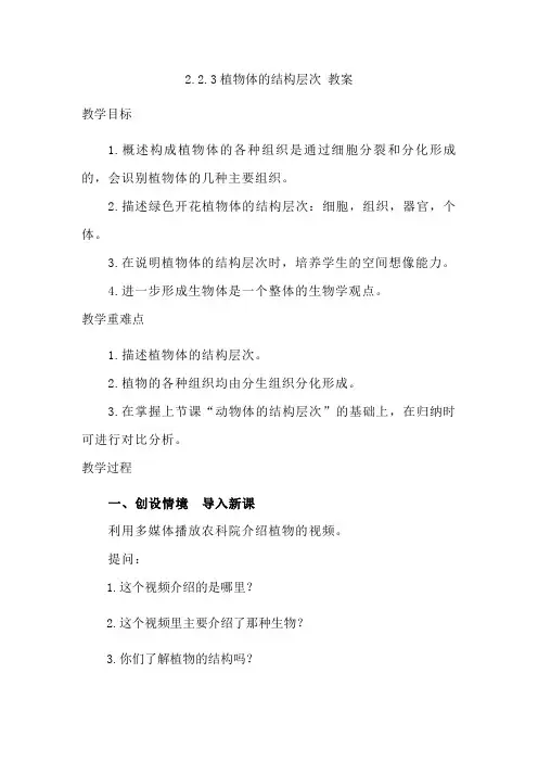 第三节植物体的结构层次教案-2023-2024学年人教版生物七年级上册