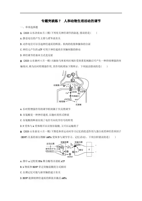 2021高考生物二轮复习专题突破练7人和动物生理活动的调节含解析.docx