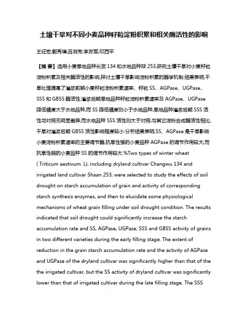 土壤干旱对不同小麦品种籽粒淀粉积累和相关酶活性的影响
