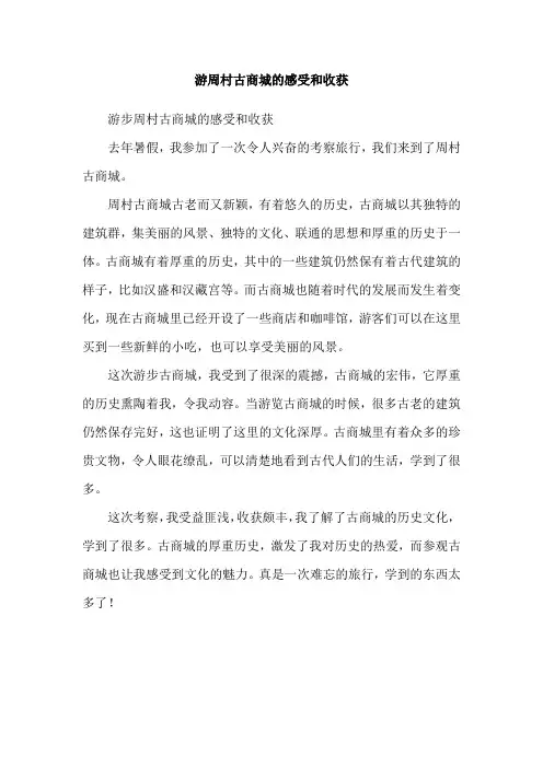 游周村古商城的感受和收获