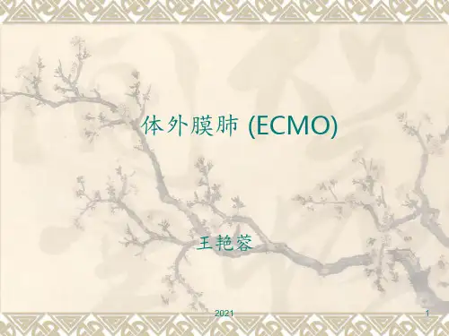 ECMOPPT课件