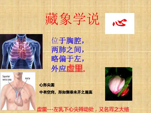 中医药学概论--6藏象学说--心与小肠